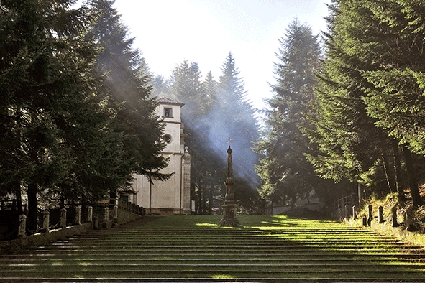 SANTUARIO DI SANTA MARIA NEL BOSCO